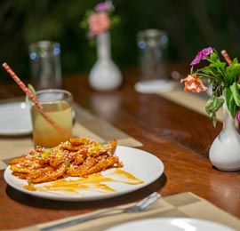 dhikala vegetarian restarant